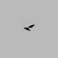 store-02